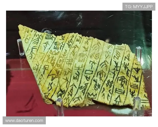 鐡﹀Ξ鑾庢檼绉戞瘮鏃х収锛屼笁濂冲効鍏洯鍚屾锛屽皬濂冲効绁炰技鐖朵翰